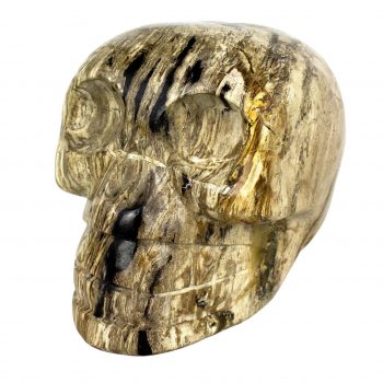 Figura calavera madera fosilizada
