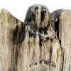 Ángel madera fosilizada